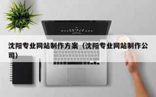 安顺沈阳专业网站制作方案（沈阳专业网站制作公司）
